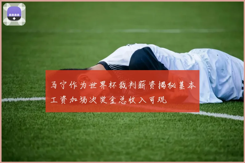 马宁作为世界杯裁判薪资揭秘基本工资加场次奖金总收入可观