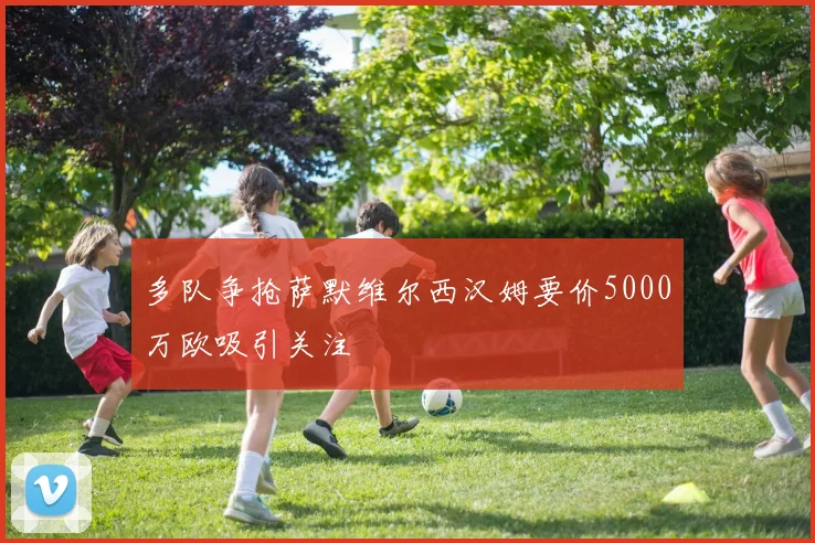 多队争抢萨默维尔西汉姆要价5000万欧吸引关注