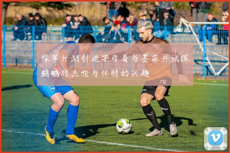 绿军计划引进字母哥与墨菲并试探鹈鹕对杰伦与怀特的兴趣